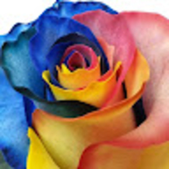 Meet Maria - Picture 1 of 1